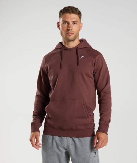 Men's Gymshark Crest Hoodie Brown | CA 8N50AD